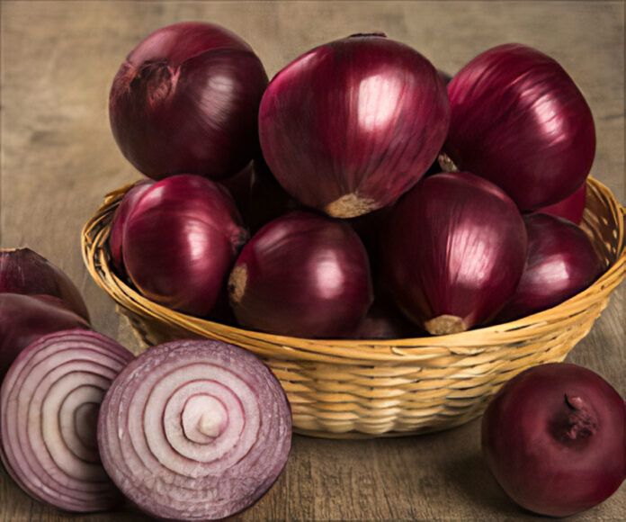 The most effective method to eat red onions in a sound manner